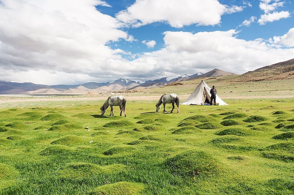 Muletier au campement de Pongunagu - Ladakh - Inde