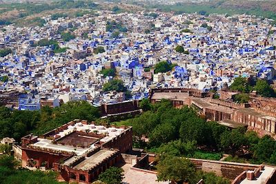 © Guillaume Cuenin - Jodhpur - Rajasthan - Inde Jodhpur - Rajasthan - Inde