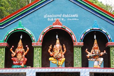 © Danielle Ghostine - Kerala - Inde Kerala - Inde