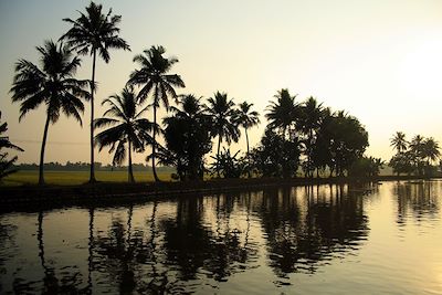 Backwaters - Inde