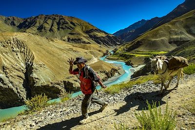 © Franck Charton - Muletier Zanskarpa à la confluence Lungnak - Tsarap à Purne - Zanskar - Inde Muletier Zanskarpa à la confluence Lungnak - Tsarap à Purne - Zanskar - Inde