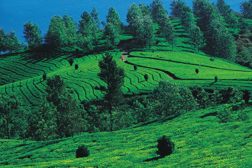 Voyage Du Bengale au Sikkim  3