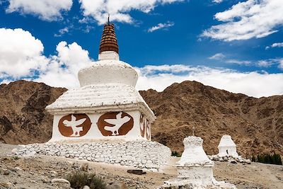 © Thomas Callens - Chorten à proximité du monastère de Phyang - Ladakh - Inde Chorten à proximité du monastère de Phyang - Ladakh - Inde