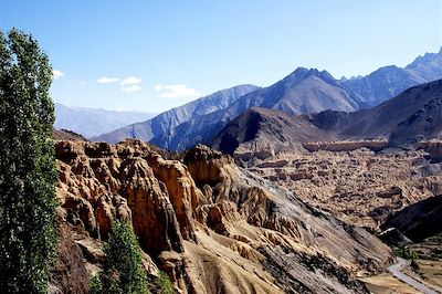 Voyage Ladakh, Nubra : entre lacs et monastères 2