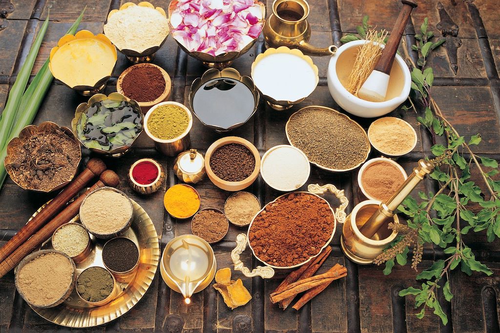 Voyage Douceurs du Kerala 2