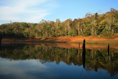 Parc National - Periyar - Inde