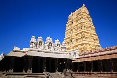 Voyage Le Karnataka, fêtes de Mahashivaratri et Rathotsav 3
