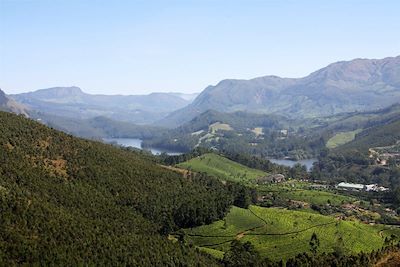 © Nadeem Sheikh - Paysage près du Munnar - Kerala - Inde Paysage près du Munnar - Kerala - Inde