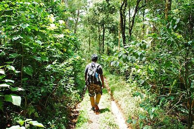 © Danielle Ghostine - Kerala - Inde Kerala - Inde