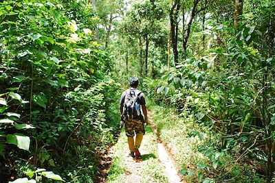 Kerala - Inde