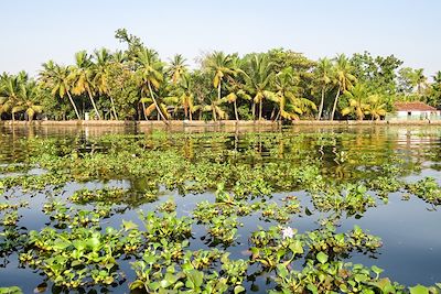 © Cannelle Carreren - Alleppey - Inde Alleppey - Inde