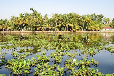 Alleppey - Inde