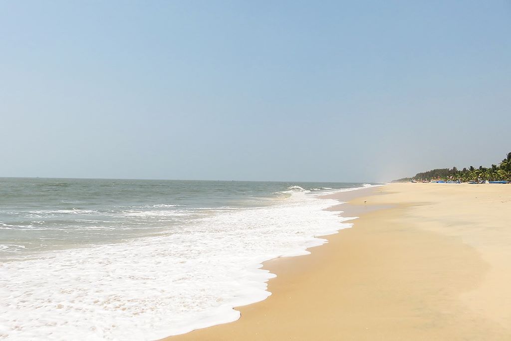Voyage Kerala : rando, épices et plantations de thé 3