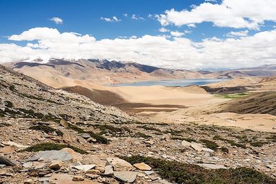 Vue sur le Lac Tso Moriri depuis le Yalung Nyau La - Ladakh - Inde