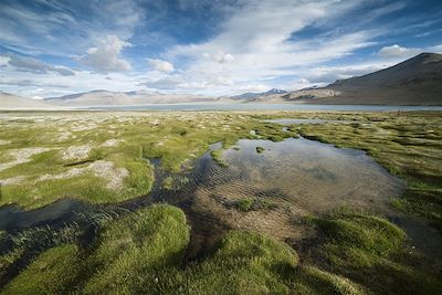 Lac Tso Khar dans la vallée de Rupshu - Inde