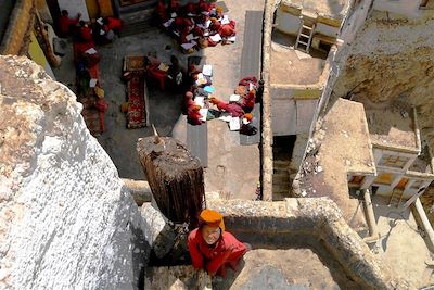 Jeunes moines en cours - Monastère de Phuktal Gompa - Zanskar - Inde