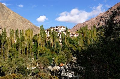 Tia - Vallée de Sham - Ladakh - Inde