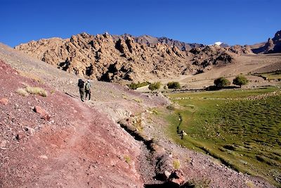 Marche entre Hemis-Shukpachan et Meptek La - Vallée de Sham - Ladakh - Inde