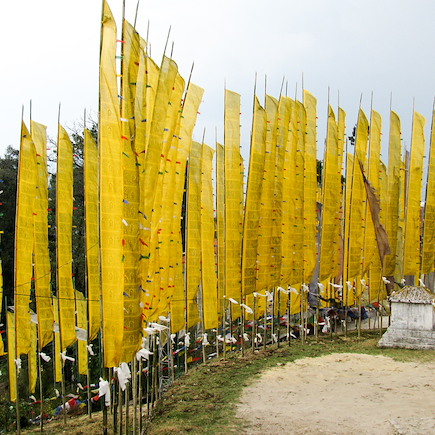 Trek Inde