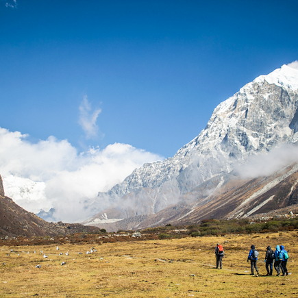 Trek Inde