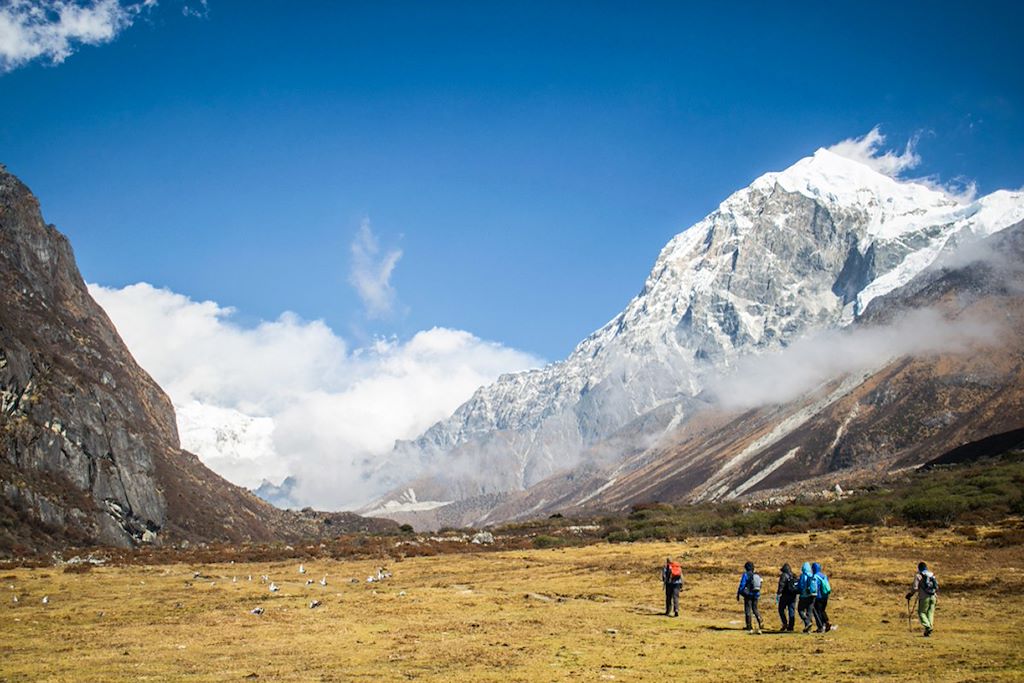 Image Trek De Darjeeling À Gantok - Randonnée Chaîne Des Singalila - Bivouac Sikkim