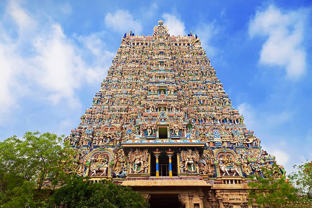 Image Découverte Inde du Sud - Visite temples Tamil Nadu - Randonnée Munnar - visite Kerala