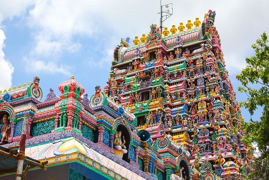 Image Découverte Inde du Sud - Visite temples Tamil Nadu - Randonnée Munnar - visite Kerala