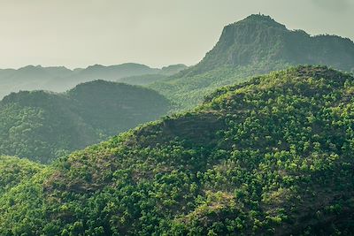 Parc national de Pachmarhi 