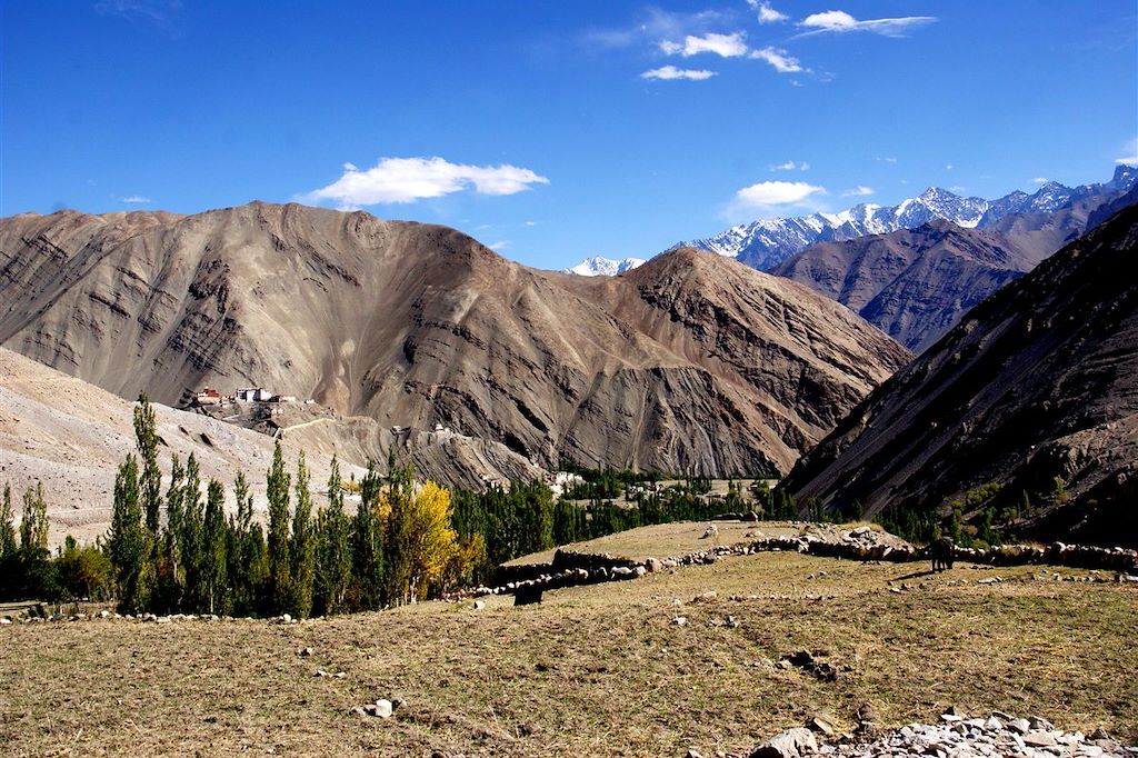 Image Découverte Vallée De La Nubra - Lacs Tso Kar Et Tso Moriri - Monastères Leh - Trek Sham
