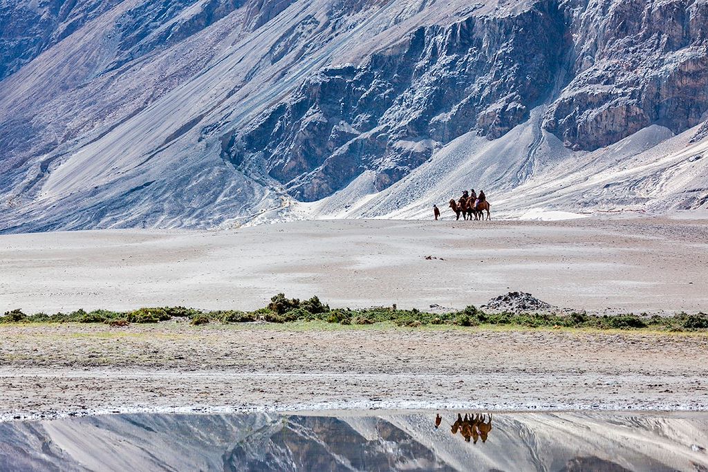 Image Découverte Vallée De La Nubra - Lacs Tso Kar Et Tso Moriri - Monastères Leh - Trek Sham
