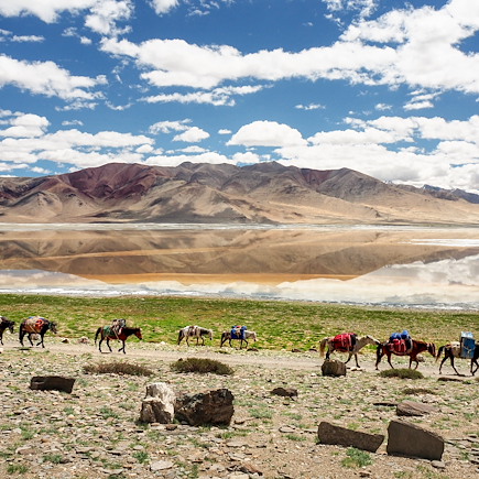 Trek Inde Ladakh