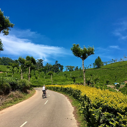 Vélo Inde Inde du Sud