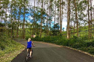 Kerala - Inde