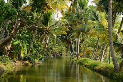 les baakwater dans le Kerala