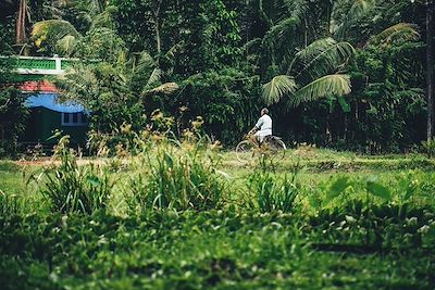 Vélo au Kerala - Inde