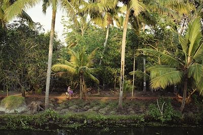 Voyage Inde du Sud