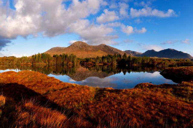 Irlande : Forêts, collines, rivières et lacs