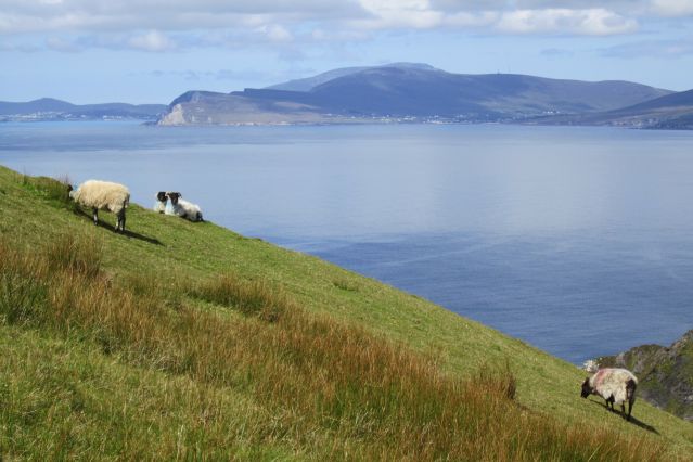 Image Connemara, Donegal et Irlande du Nord