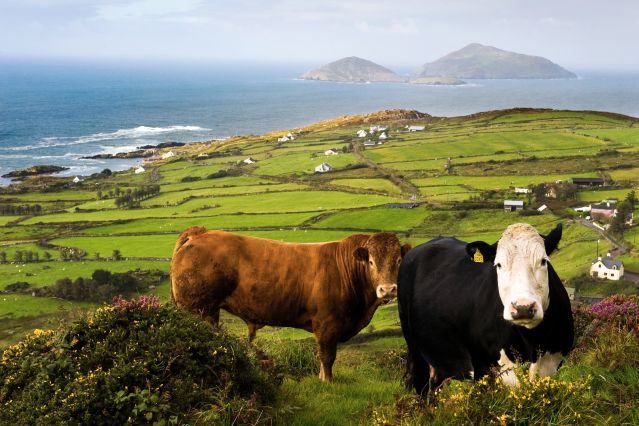 Image Péninsules de l'ouest irlandais et Connemara