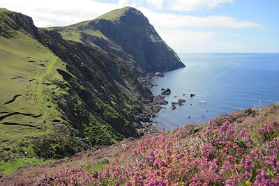 Iles et péninsules de l'ouest irlandais