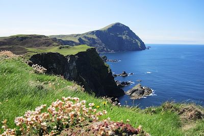 © Manon Le Pelley - Falaise de Clare Island - Irlande Falaise de Clare Island - Irlande