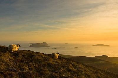 Dún Chaoin - Péninsule de Dingle - Kerry - Irlande