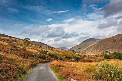 Kenmare Road - Comté de Kerry - Irlande