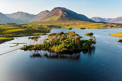 Île douze pins - Connemara - Irlande