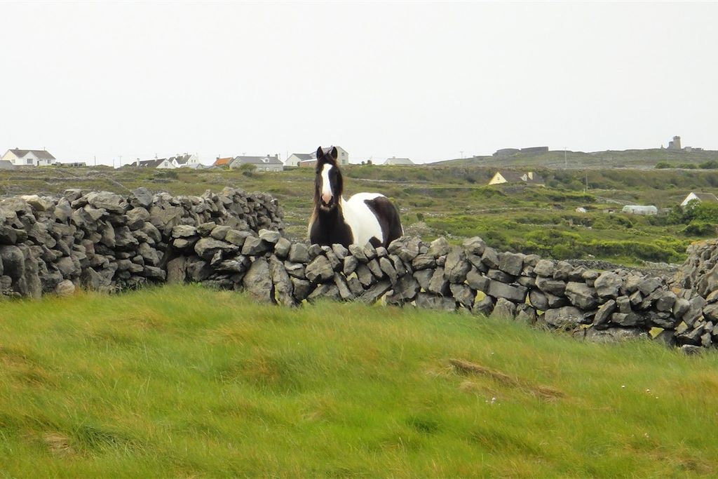 Voyage en Irlande en Famille Circuit Irlande Connemara en famille 8 jours