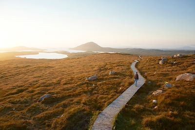 Voyage Irlande