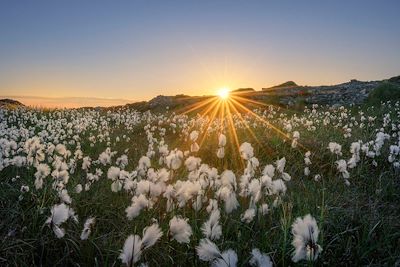 Inishturk - Comté de Mayo - Irlande
