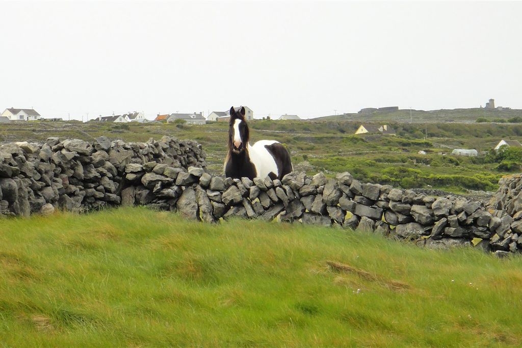Image Voyage en Irlande en Famille - Circuit Irlande - Connemara en famille
