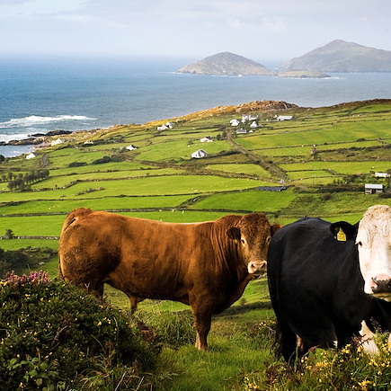 Randonnée Irlande Connemara