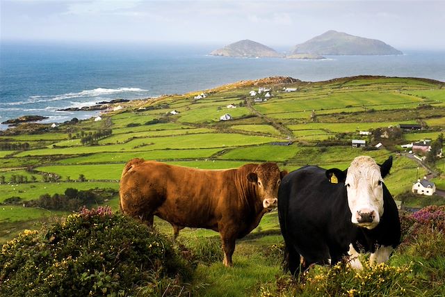 Voyage : Péninsules de l'ouest irlandais et Connemara Voyage Péninsules de l'ouest irlandais et Connemara